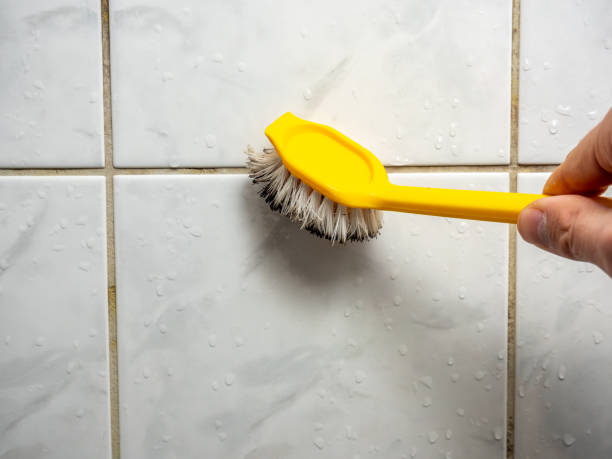 Best Mold Testing and Removal  in Owingsville, KY